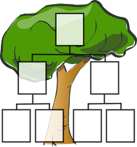 How to select the tool to build family tree