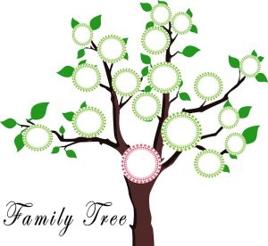 How to use online tools for building a family tree